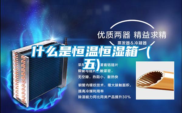 什么是恒温恒湿箱(五)