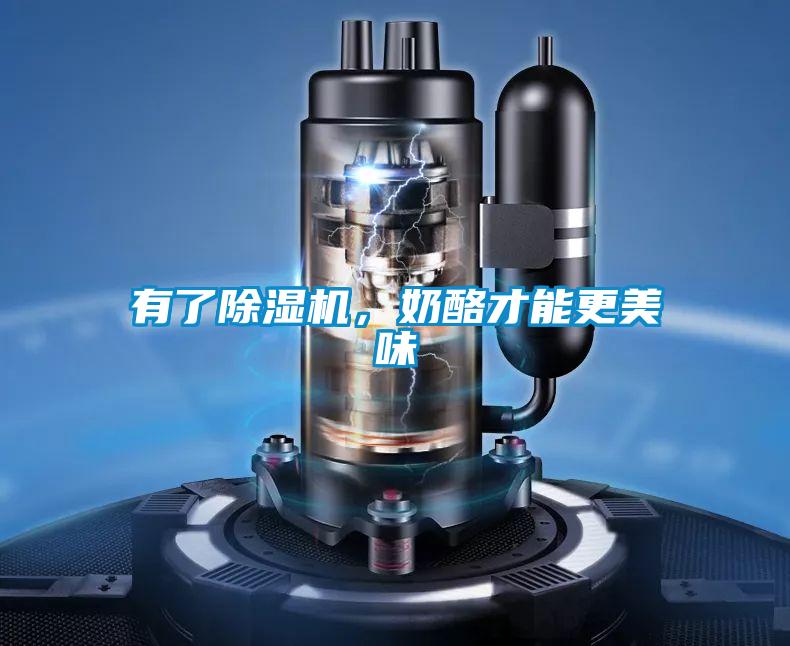 有了除湿机,奶酪才能更美味