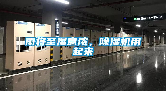 雨将至湿意浓,除湿机用起来
