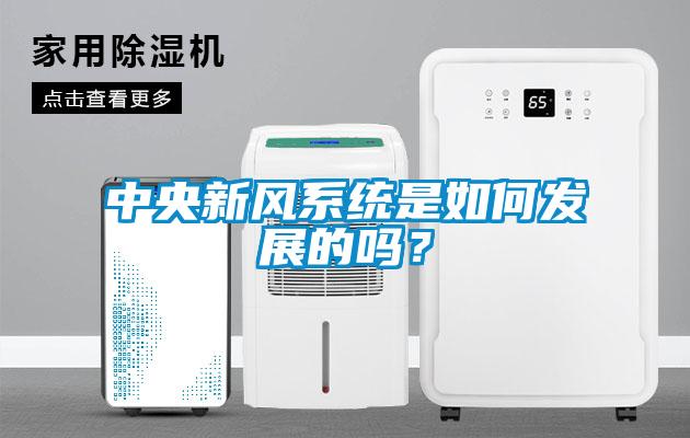 中央新风系统是如何发展的吗？