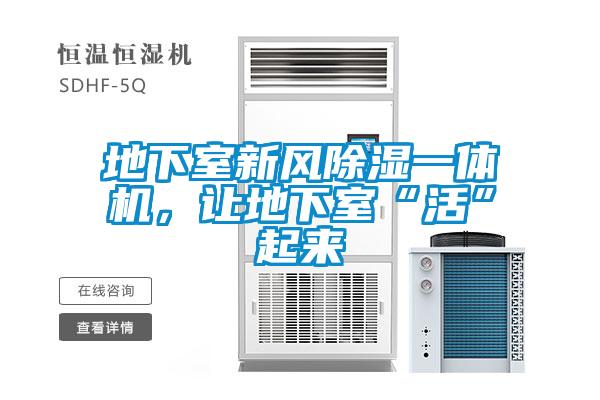 地下室新风除湿一体机，让地下室“活”起来