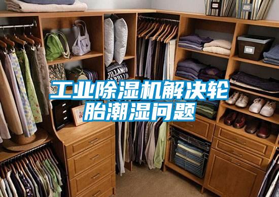工业除湿机解决轮胎潮湿问题