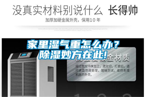 家里湿气重怎么办?除湿妙方在此!