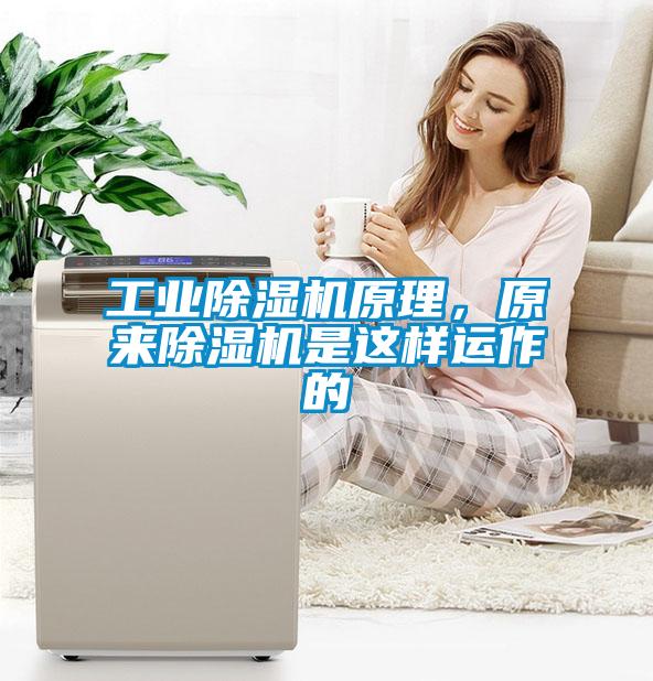 工业除湿机原理，原来除湿机是这样运作的