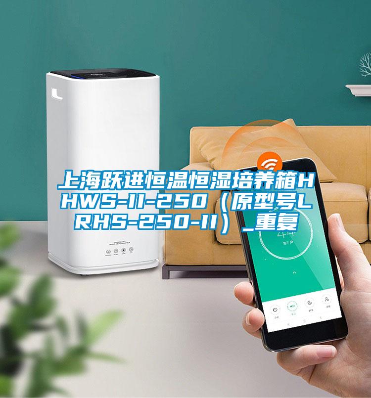 上海跃进恒温恒湿培养箱HHWS-II-250（原型号LRHS-250-II）_重复