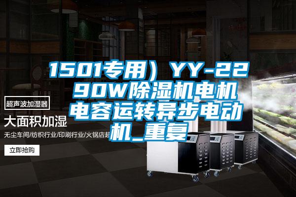 1501专用)YY-22  90W除湿机电机  电容运转异步电动机_重复