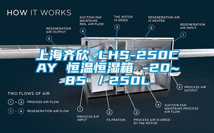 上海齐欣 LHS-250CAY 恒温恒湿箱 -20~85℃／250L