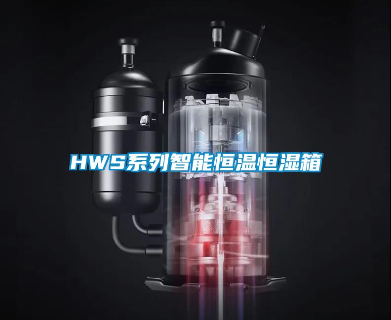 HWS系列智能恒温恒湿箱