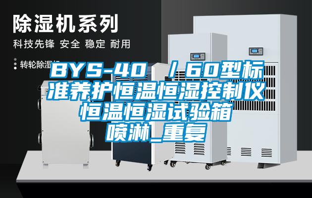 BYS-40 /60型标准养护恒温恒湿控制仪  恒温恒湿试验箱  喷淋_重复