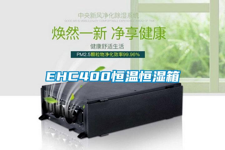 EHC400恒温恒湿箱