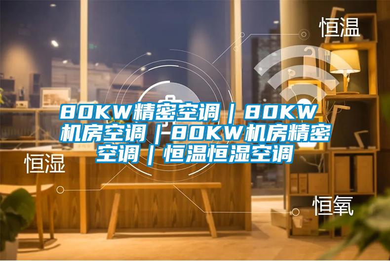 80KW精密空调|80KW 机房空调|80KW机房精密空调|恒温恒湿空调