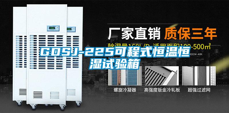 GDSJ-225可程式恒温恒湿试验箱