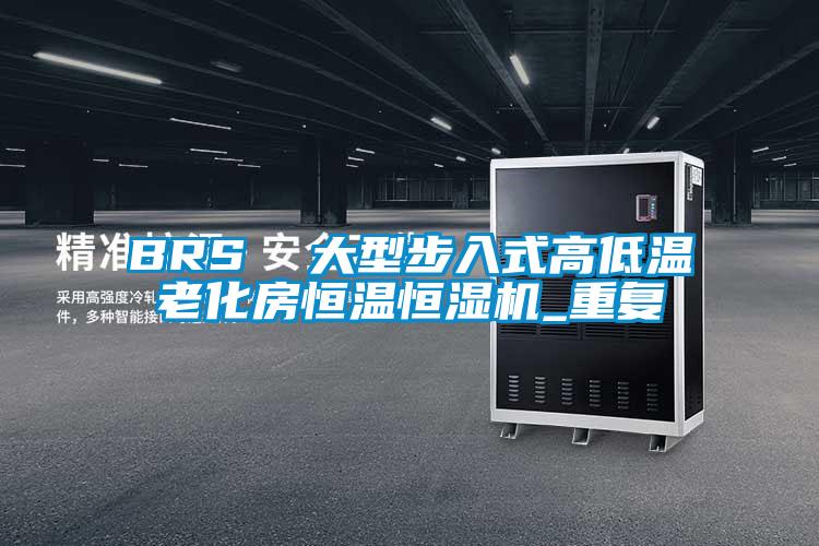 BRS  大型步入式高低温老化房恒温恒湿机_重复