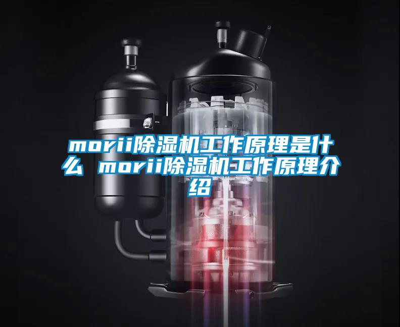morii除湿机工作原理是什么 morii除湿机工作原理介绍
