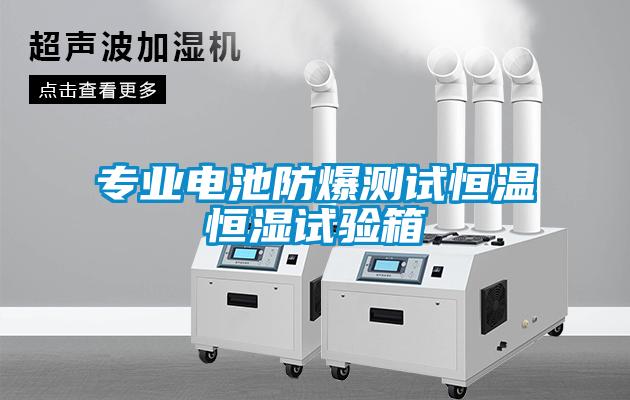 专业电池防爆测试恒温恒湿试验箱