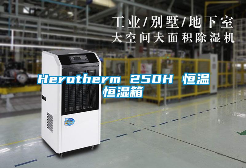 Herotherm 250H 恒温恒湿箱