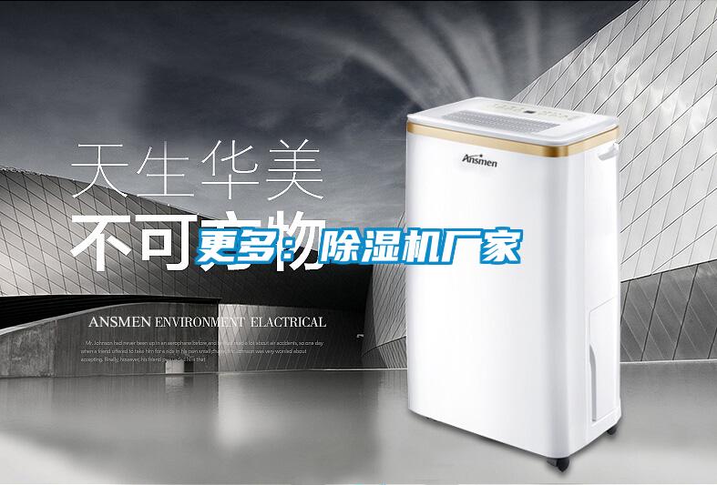 更多：除湿机厂家