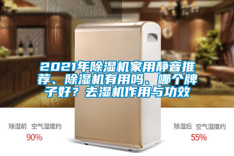 2021年除湿机家用静音推荐、除湿机有用吗、哪个牌子好？去湿机作用与功效
