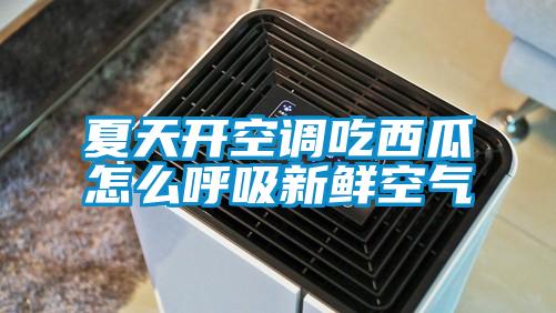 夏天开空调吃西瓜怎么呼吸新鲜空气