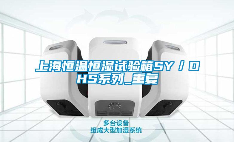 上海恒温恒湿试验箱SY／DHS系列_重复