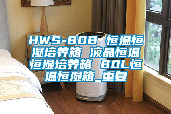 HWS-80B 恒温恒湿培养箱 液晶恒温恒湿培养箱 80L恒温恒湿箱_重复