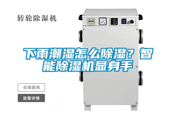 下雨潮湿怎么除湿？智能除湿机显身手
