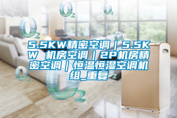 5.5KW精密空调｜5.5KW 机房空调｜2P机房精密空调｜恒温恒湿空调机组_重复
