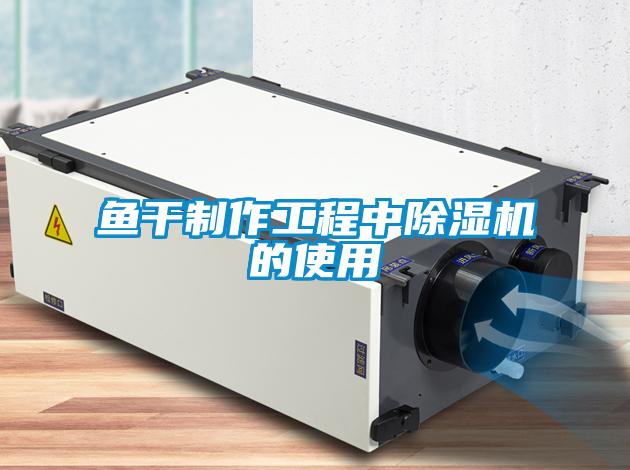 鱼干制作工程中除湿机的使用