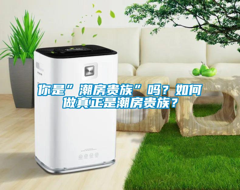 你是”潮房贵族”吗？如何做真正是潮房贵族？