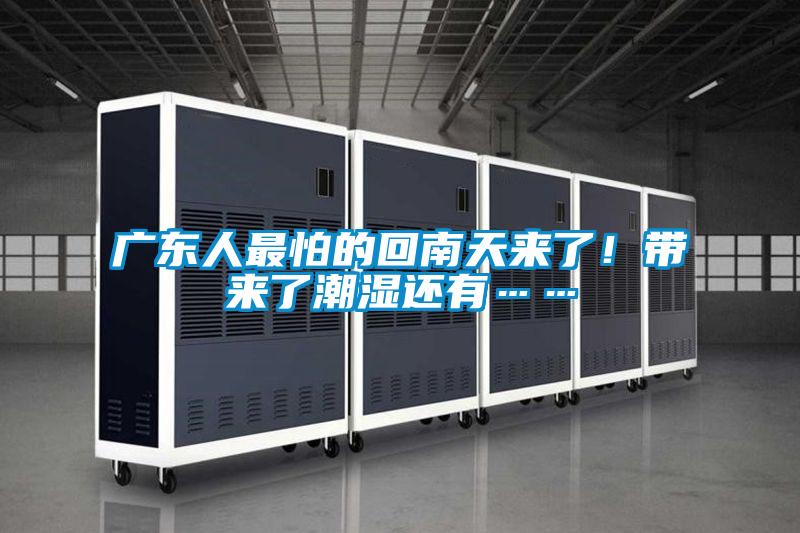 广东人最怕的回南天来了！带来了潮湿还有……