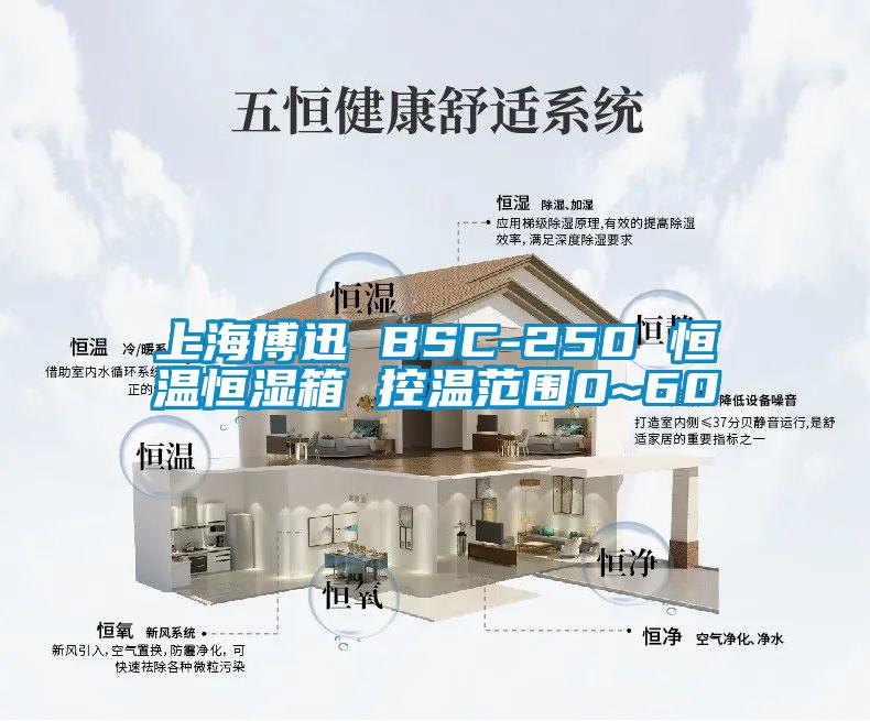上海博迅 BSC-250 恒温恒湿箱 控温范围0~60℃
