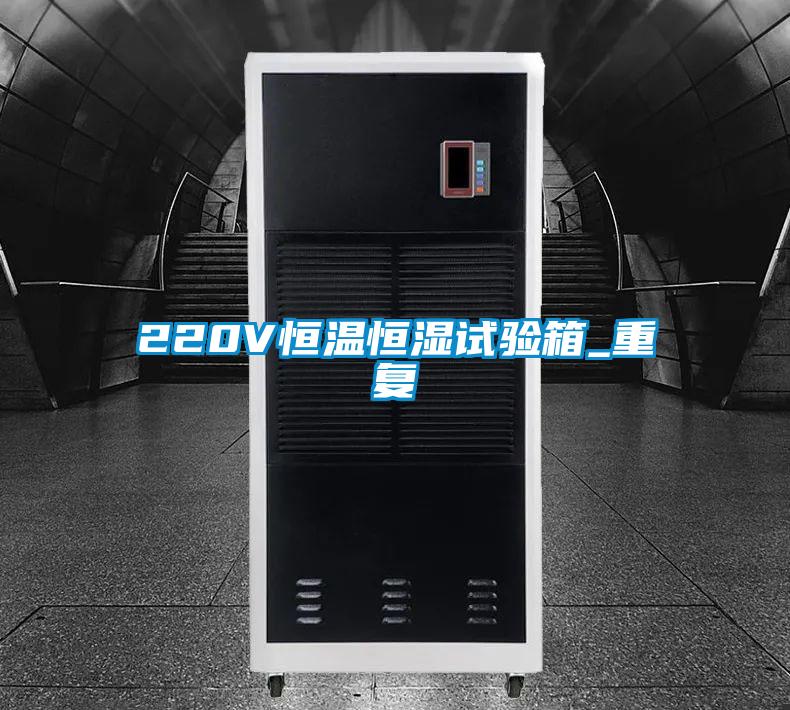 220V恒温恒湿试验箱_重复
