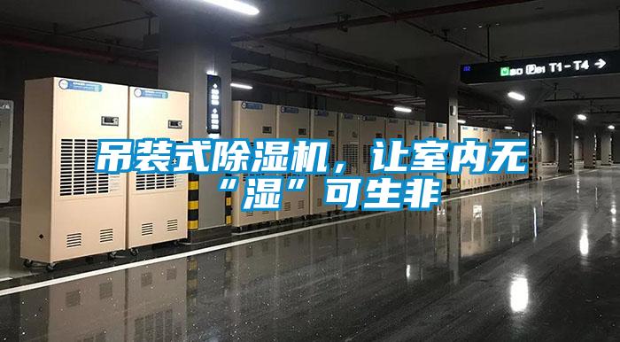 吊装式除湿机，让室内无“湿”可生非