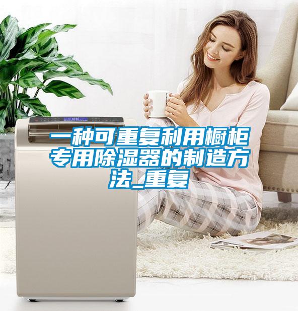 一种可重复利用橱柜专用除湿器的制造方法_重复