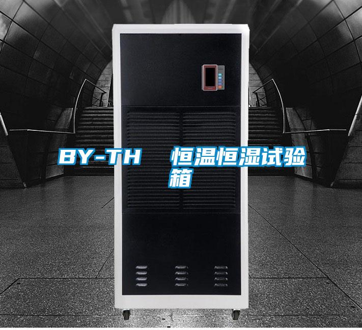BY-TH  恒温恒湿试验箱