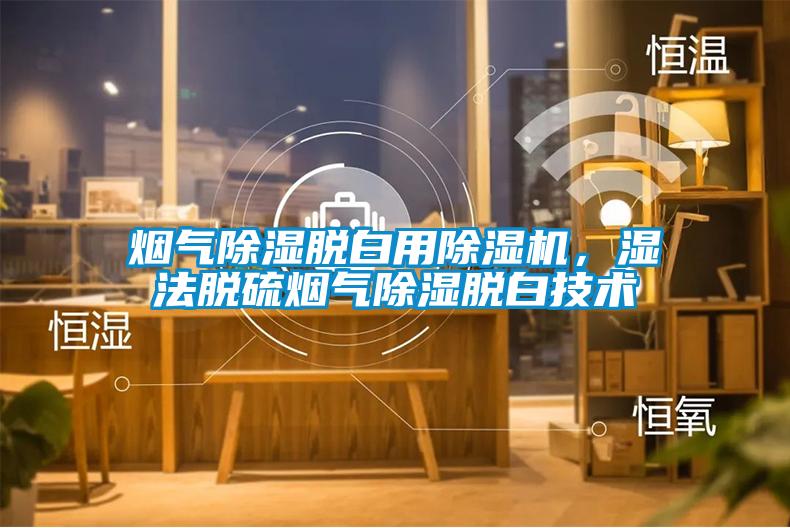 烟气除湿脱白用除湿机，湿法脱硫烟气除湿脱白技术