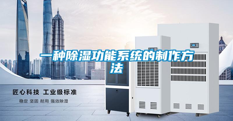 一种除湿功能系统的制作方法
