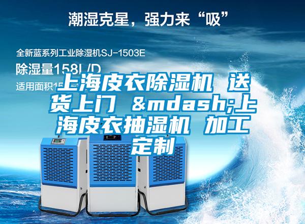 上海皮衣除湿机 送货上门 —上海皮衣抽湿机 加工定制