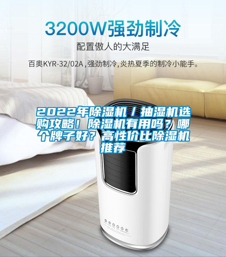 2022年除湿机／抽湿机选购攻略！除湿机有用吗？哪个牌子好？高性价比除湿机推荐