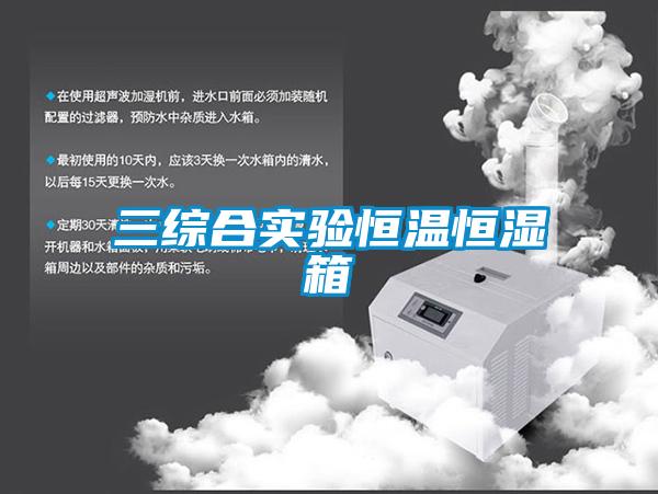 三综合实验恒温恒湿箱