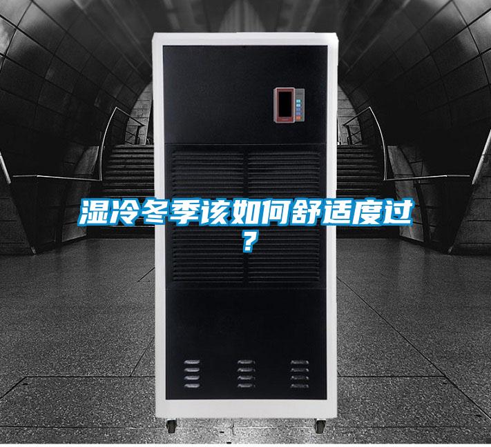 湿冷冬季该如何舒适度过?