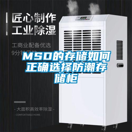 MSD的存储如何正确选择防潮存储柜