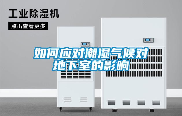 如何应对潮湿气候对地下室的影响