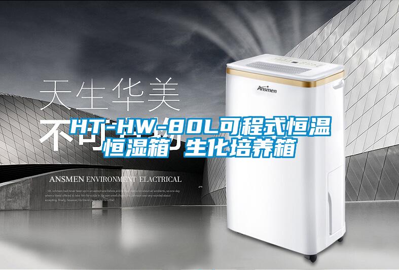 HT-HW-80L可程式恒温恒湿箱 生化培养箱
