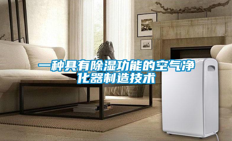 一种具有除湿功能的空气净化器制造技术