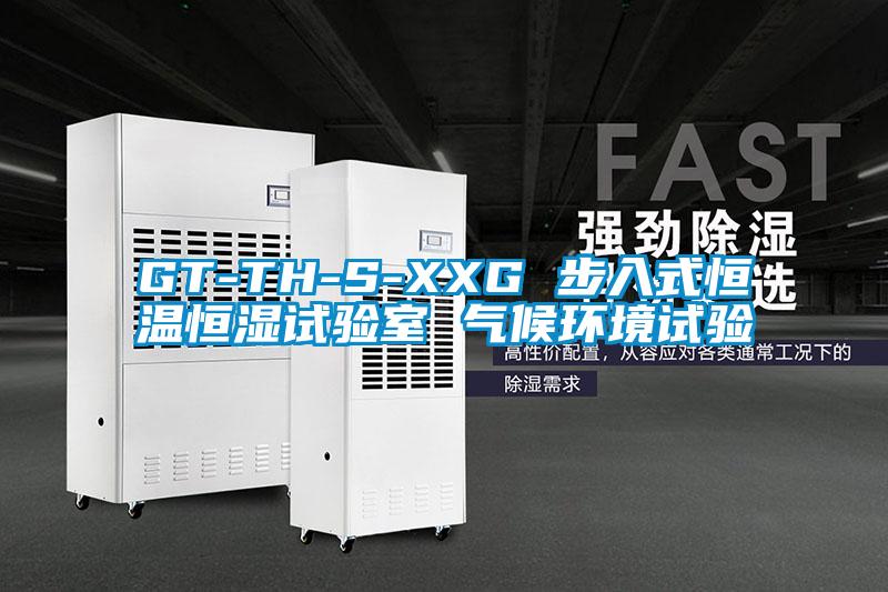 GT-TH-S-XXG 步入式恒温恒湿试验室 气候环境试验