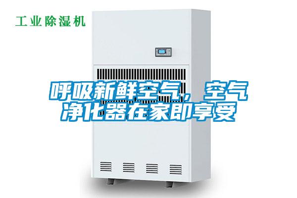 呼吸新鲜空气，空气净化器在家即享受