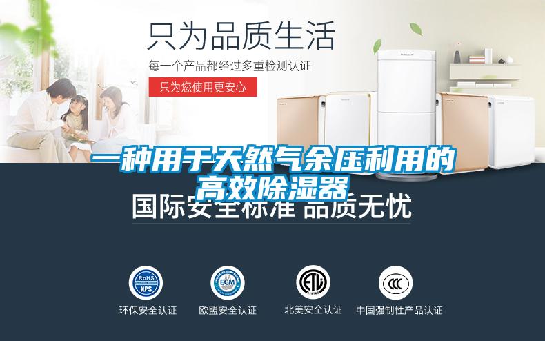 一种用于天然气余压利用的高效除湿器