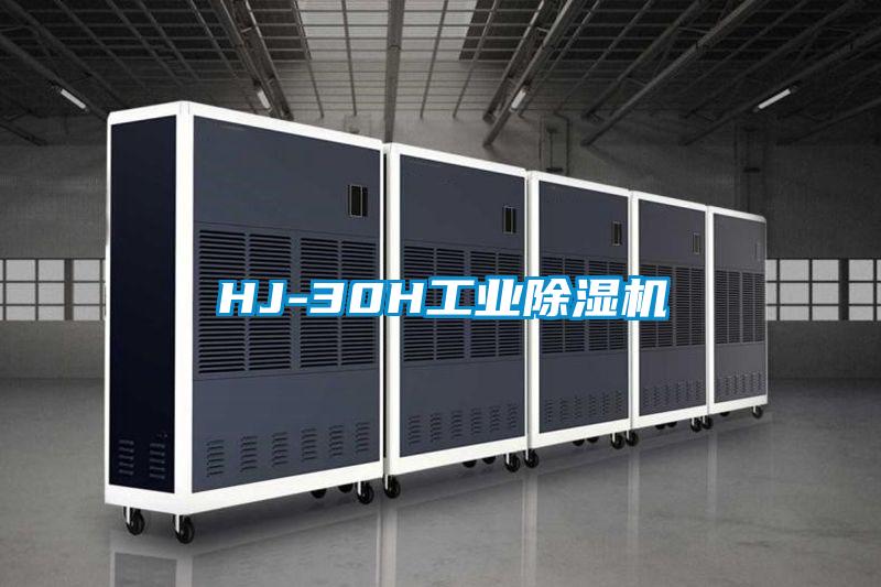 HJ-30H工业除湿机