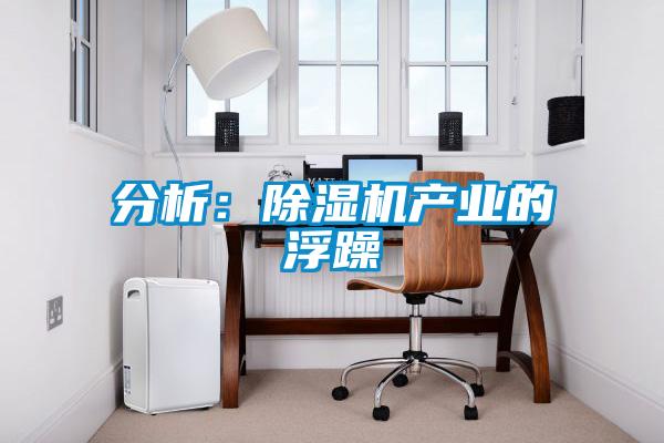 分析：除湿机产业的浮躁